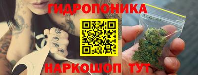 гидропоника Кунгур