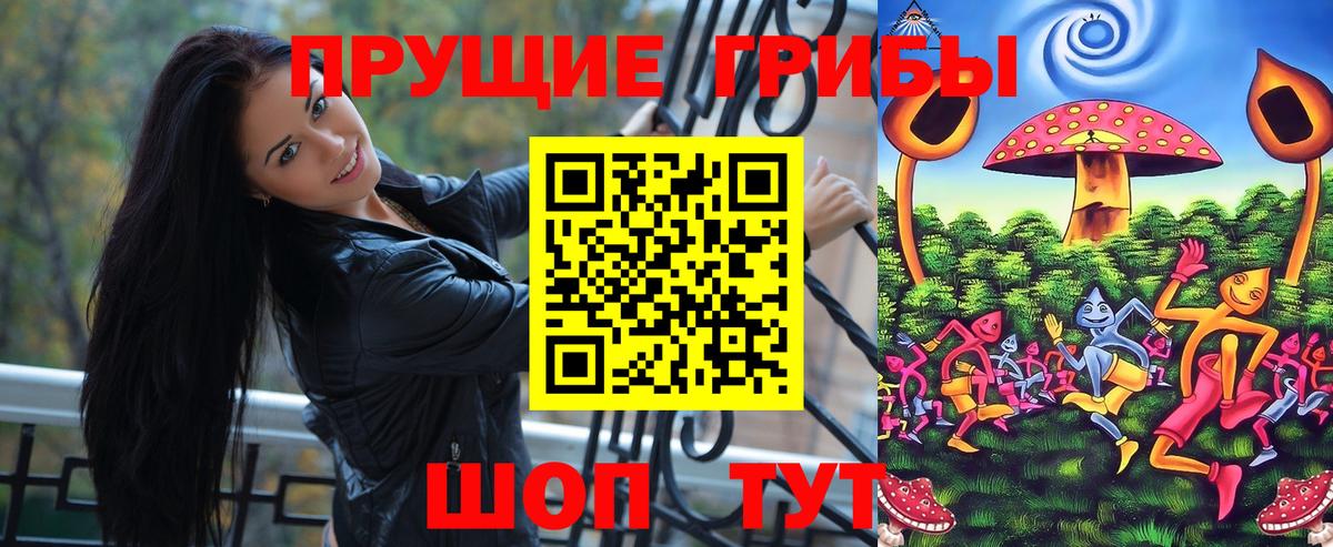 Галлюциногенные грибы Psilocybine cubensis Волгодонск