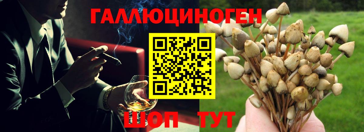 Волгодонск  Галлюциногенные грибы Magic Shrooms  Галлюциногенные грибы MAGIC MUSHROOMS  Вход с VPN 