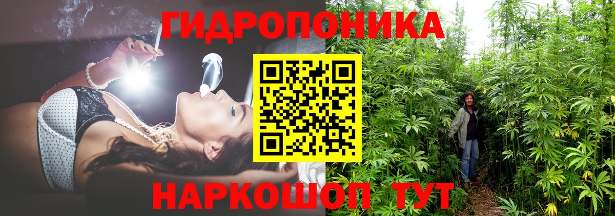Волгодонск  Канабис семена  Вход с VPN  Конопля сатива  Марихуана ГИДРОПОН  Марихуана MAZAR 